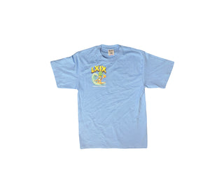 'Pineapple Poontang' Heavyweight Tee - Sky Blue